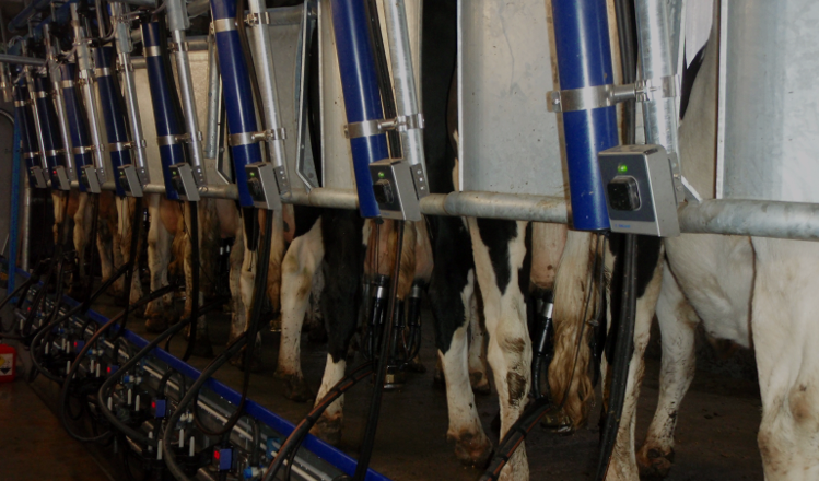 boutique machine à traire